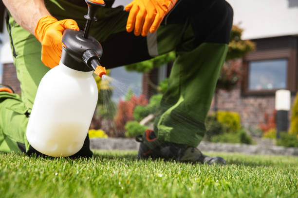 Best Seasonal Pest Control  in East Islip, NY